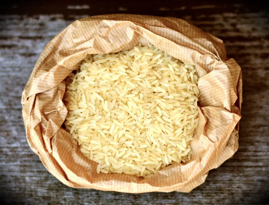 rice-3506194.webp